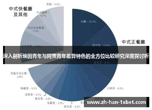 深入剖析埃因青年与阿贾青年差异特色的全方位比较研究深度探讨析